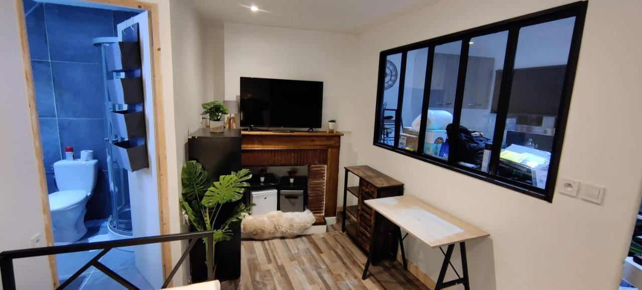 Hebergements Entiers Two Homes T1 Bas Or T1 Haut -Aux Terrasses Du Pech Foix Ngoại thất bức ảnh