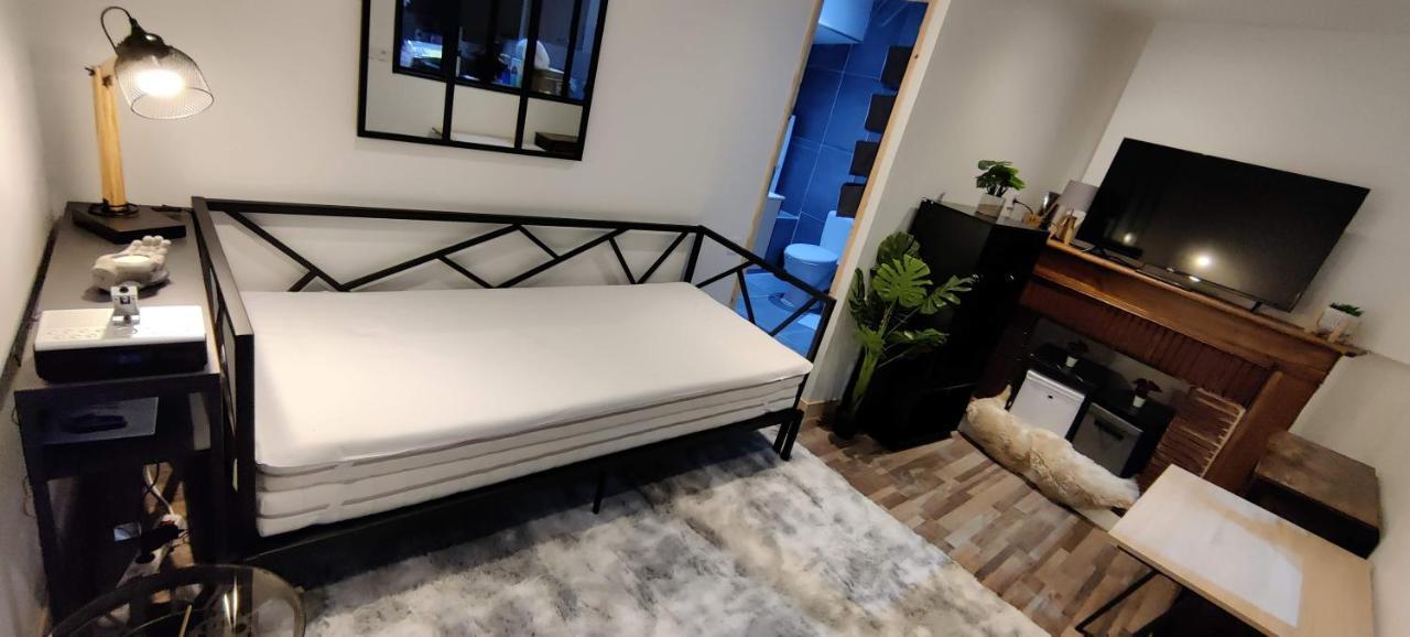 Hebergements Entiers Two Homes T1 Bas Or T1 Haut -Aux Terrasses Du Pech Foix Ngoại thất bức ảnh