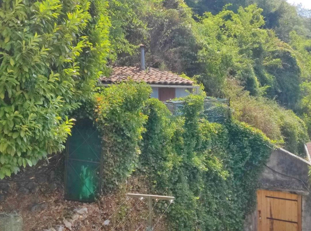 Hebergements Entiers Two Homes T1 Bas Or T1 Haut -Aux Terrasses Du Pech Foix Ngoại thất bức ảnh