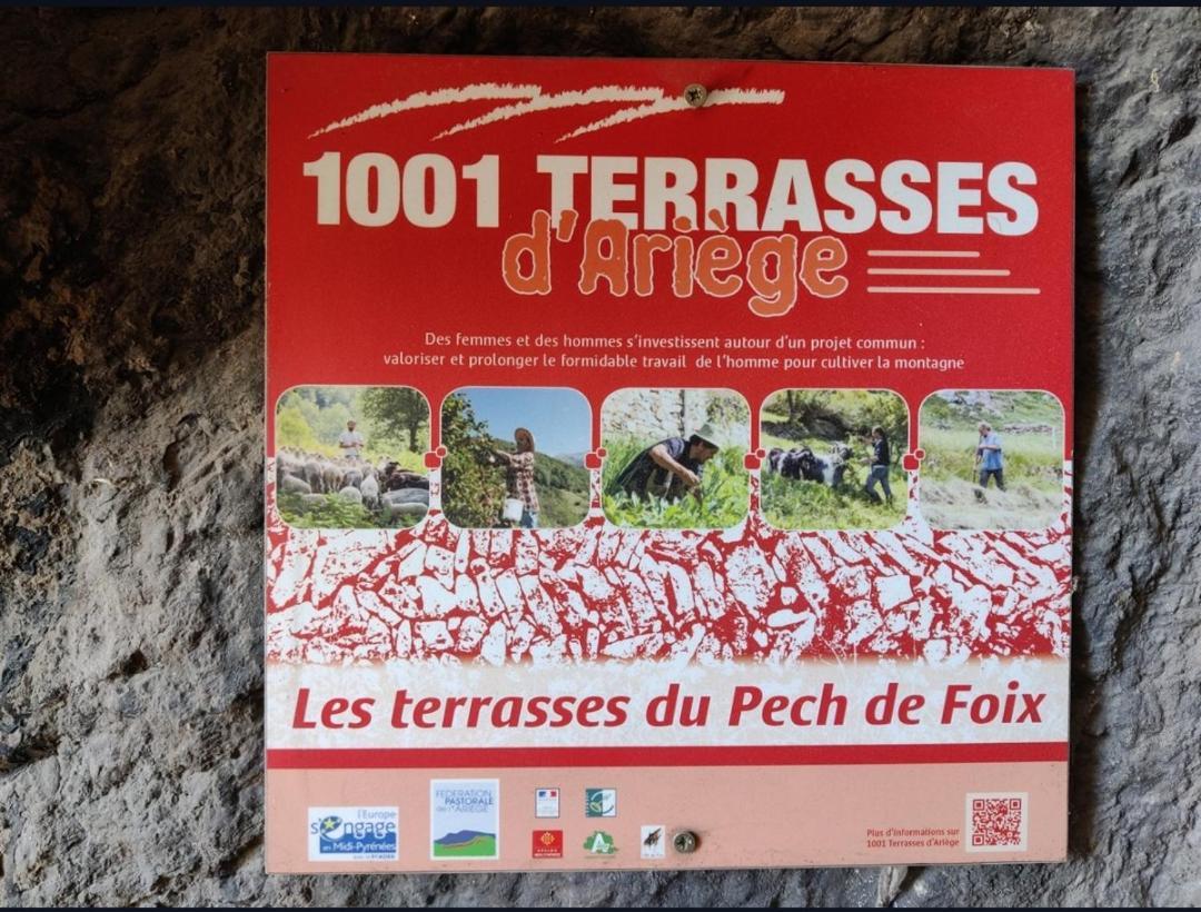 Hebergements Entiers Two Homes T1 Bas Or T1 Haut -Aux Terrasses Du Pech Foix Ngoại thất bức ảnh